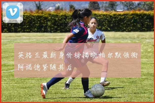 英格兰最新身价榜揭晓帕尔默领衔阿诺德紧随其后