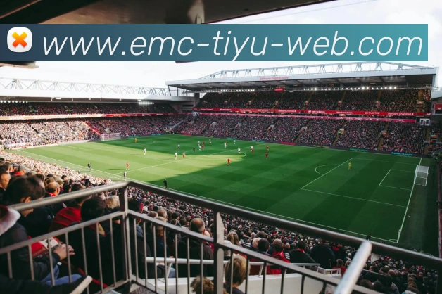 易倍体育APP 封面图