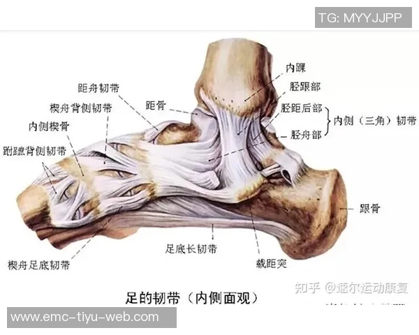 马德里竞技官方宣布朗格莱遭遇重度内侧副韧带扭伤无其他损伤 马德里竞技官方宣布朗格莱遭遇重度内侧副韧带扭伤无其他损伤